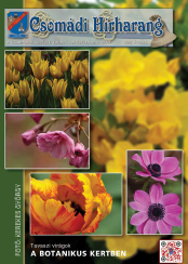 Csomádi Hírharang 2026. Április